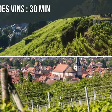 Europa Standing Et Familial Pres Europa-park