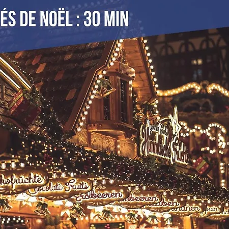 Europa Standing Et Familial Près Europa-park Appartamento Daubensand