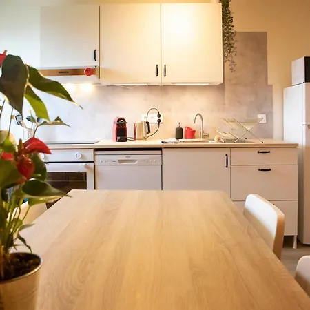 Europa Standing Et Familial Près Europa-park * Daubensand