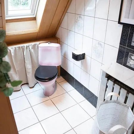 Europa Standing Et Familial Près Europa-park