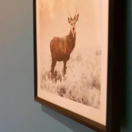 Europa Standing Et Familial Pres Europa-park * Daubensand