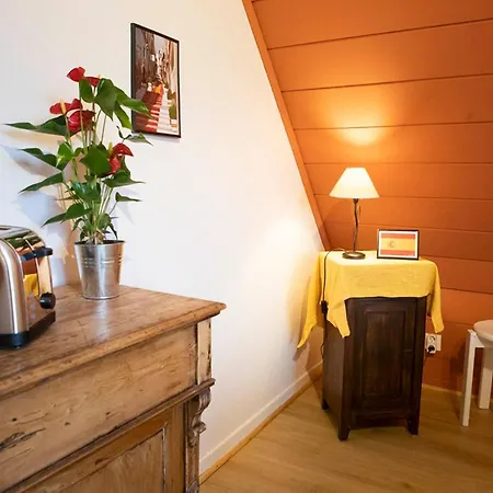 Appartamento Europa Standing Et Familial Près Europa-park *