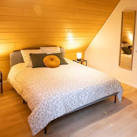 Apartamento Europa Standing Et Familial Pres Europa-park