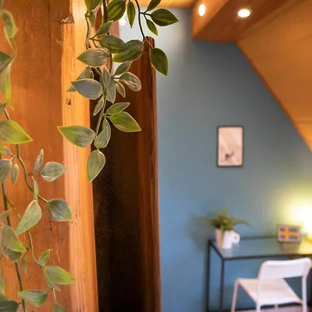 Europa Standing Et Familial Pres Europa-park Daubensand