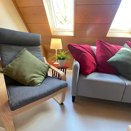 Europa Standing Et Familial Pres Europa-park Daubensand