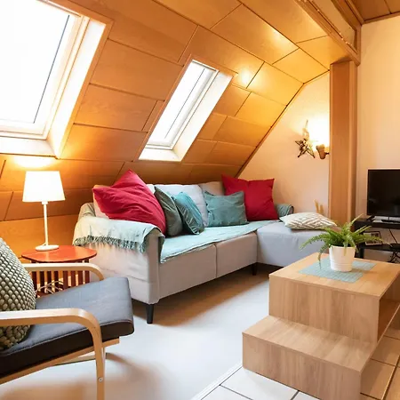 Apartamento Europa Standing Et Familial Pres Europa-park *