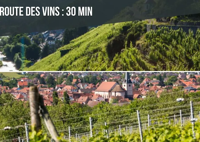 Europa Standing Et Familial Pres Europa-park