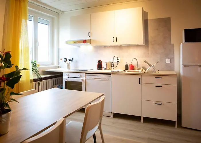 Apartment Europa Standing Et Familial Pres Europa-park *