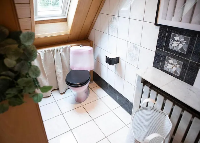 Europa Standing Et Familial Pres Europa-park