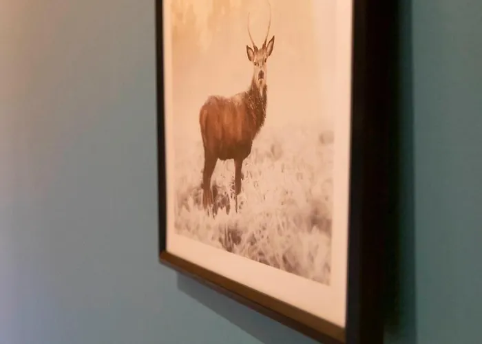 Europa Standing Et Familial Pres Europa-park * Daubensand