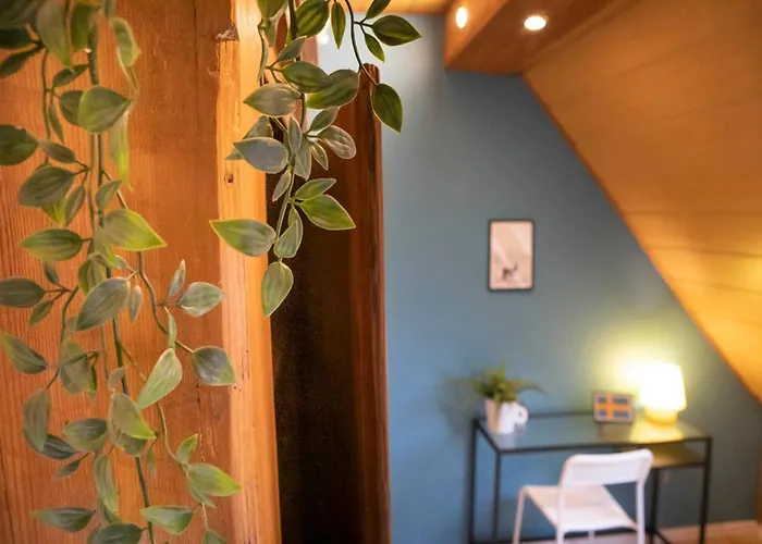 Europa Standing Et Familial Pres Europa-park Daubensand