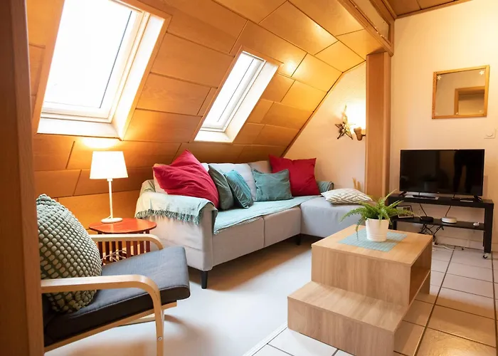 Apartment Europa Standing Et Familial Pres Europa-park *